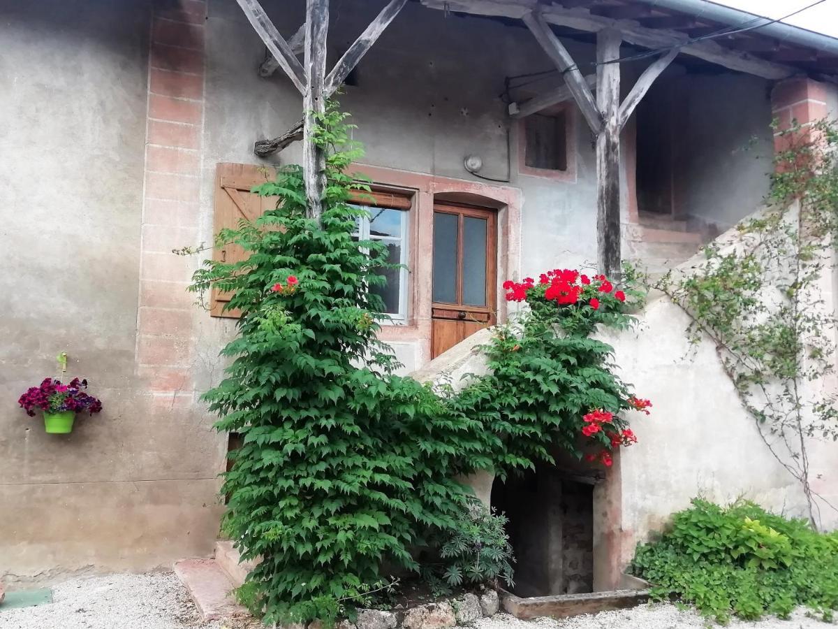 La Maison Moja Préty Екстериор снимка